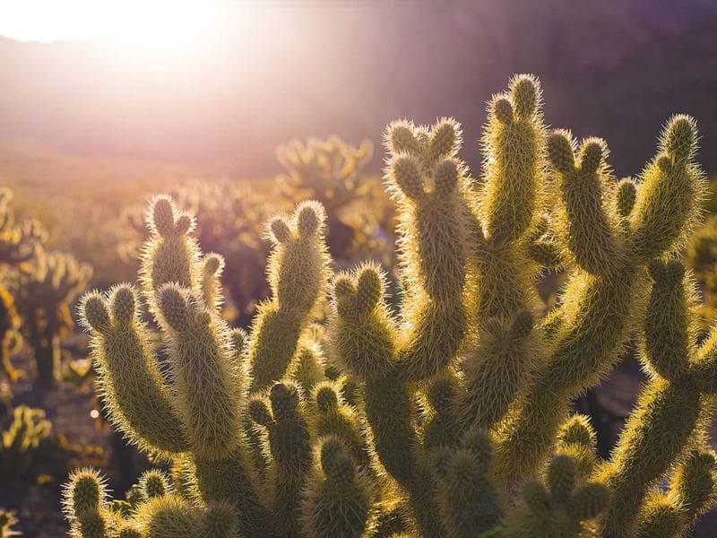 19869 W 102th Rd photo 5