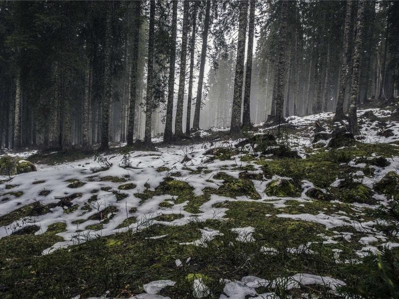 3324 E 181th Dr photo 5