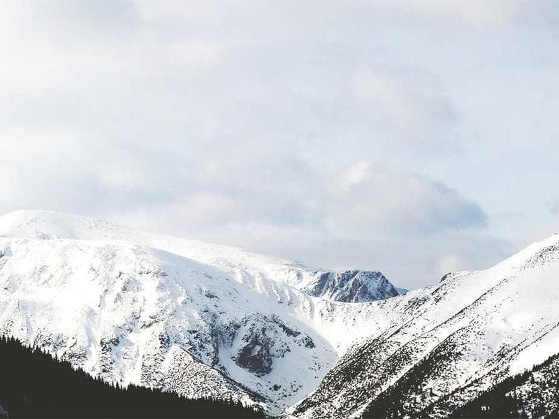 7289 N 63th Ave photo 5