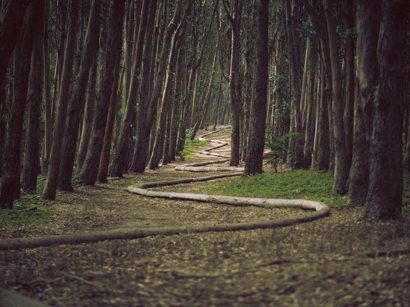 156 NW 93th Ln photo 5