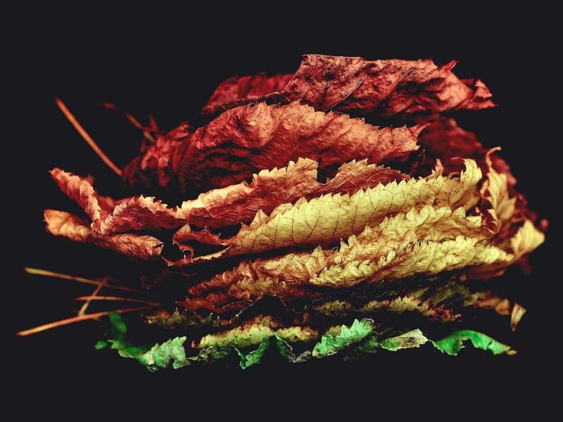 6114 SW 18th Dr photo 5