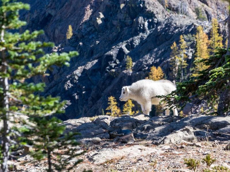 12349 SW 78th Ct photo 5