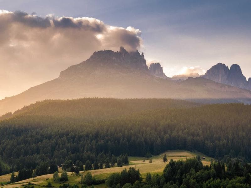 10219 NE 114th St photo 5