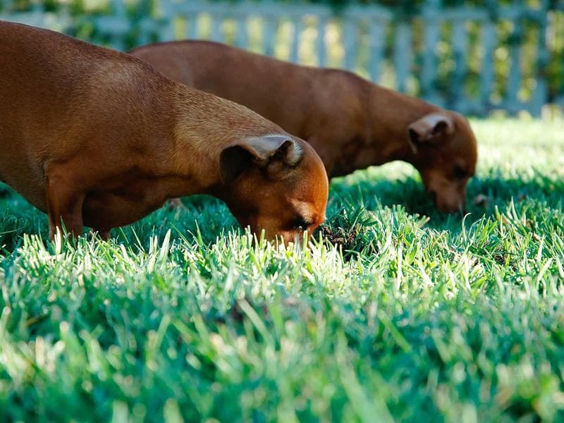 16919 S 191th Blvd photo 5