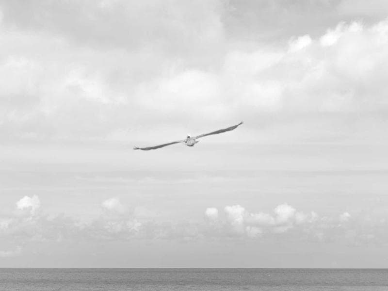 3083 SW 132th Dr photo 5