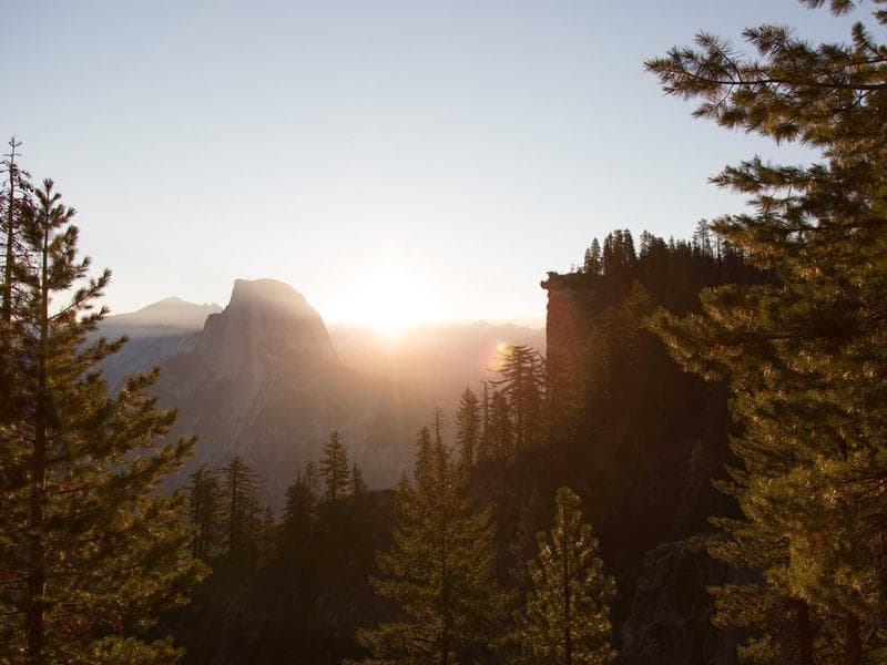 14769 S 132th Ct photo 5