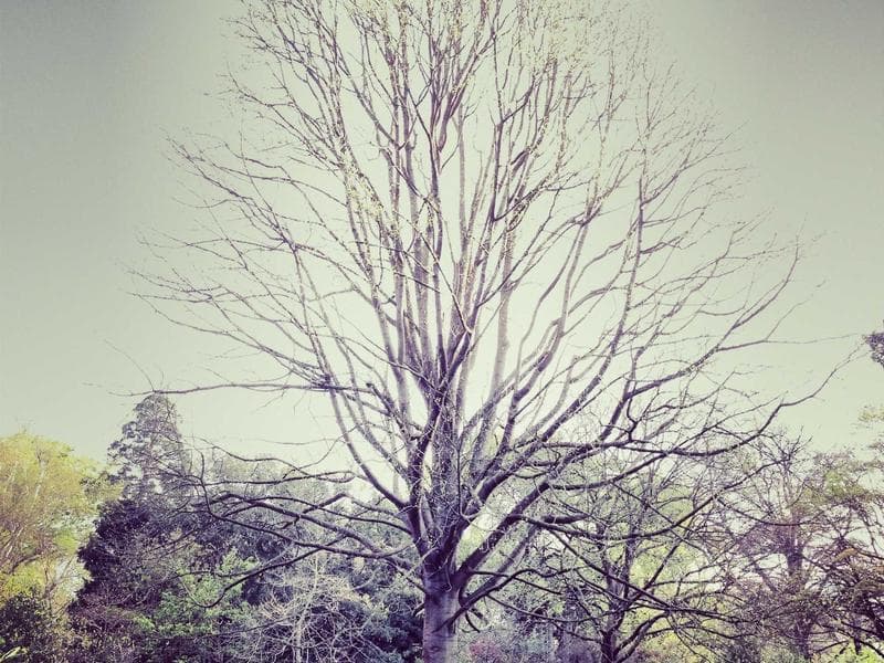 15069 NW 137th Way photo 5