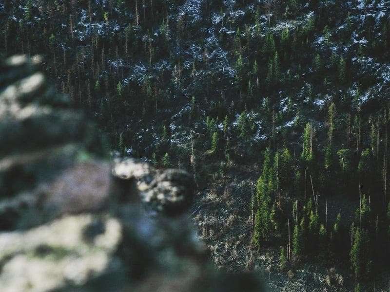 8737 NW 8th Way photo 5