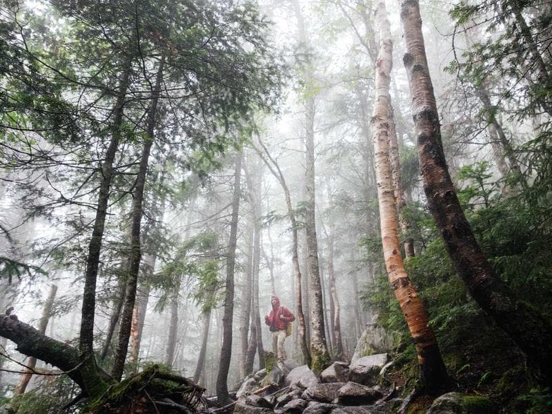 5709 SW 109th Pl photo 5