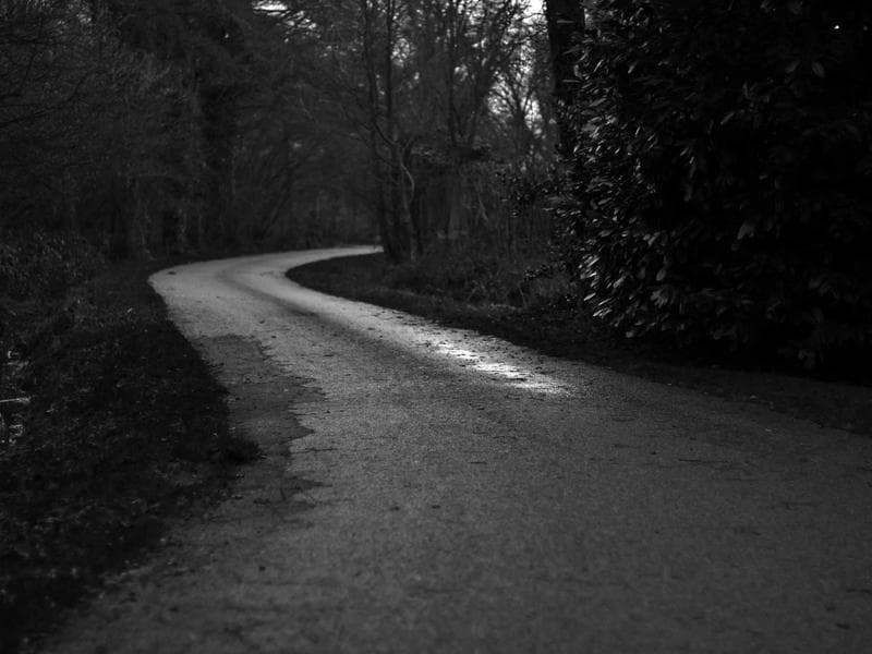 13495 S 120th Way photo 5