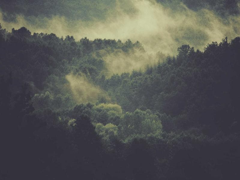 7896 SE 4th Way photo 5