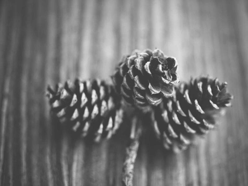 12074 NW 132th Pl photo 5