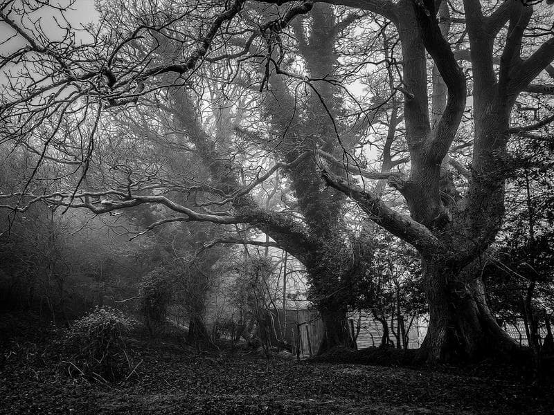 4723 W 117th Rd photo 4