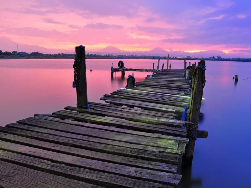 10401 SE 145th Ln photo 5