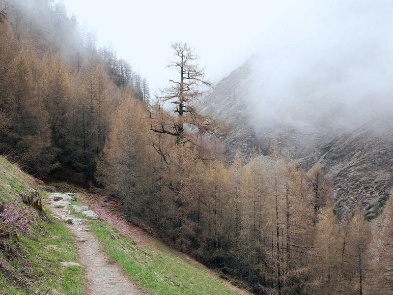 5007 SE 66th Way photo 5